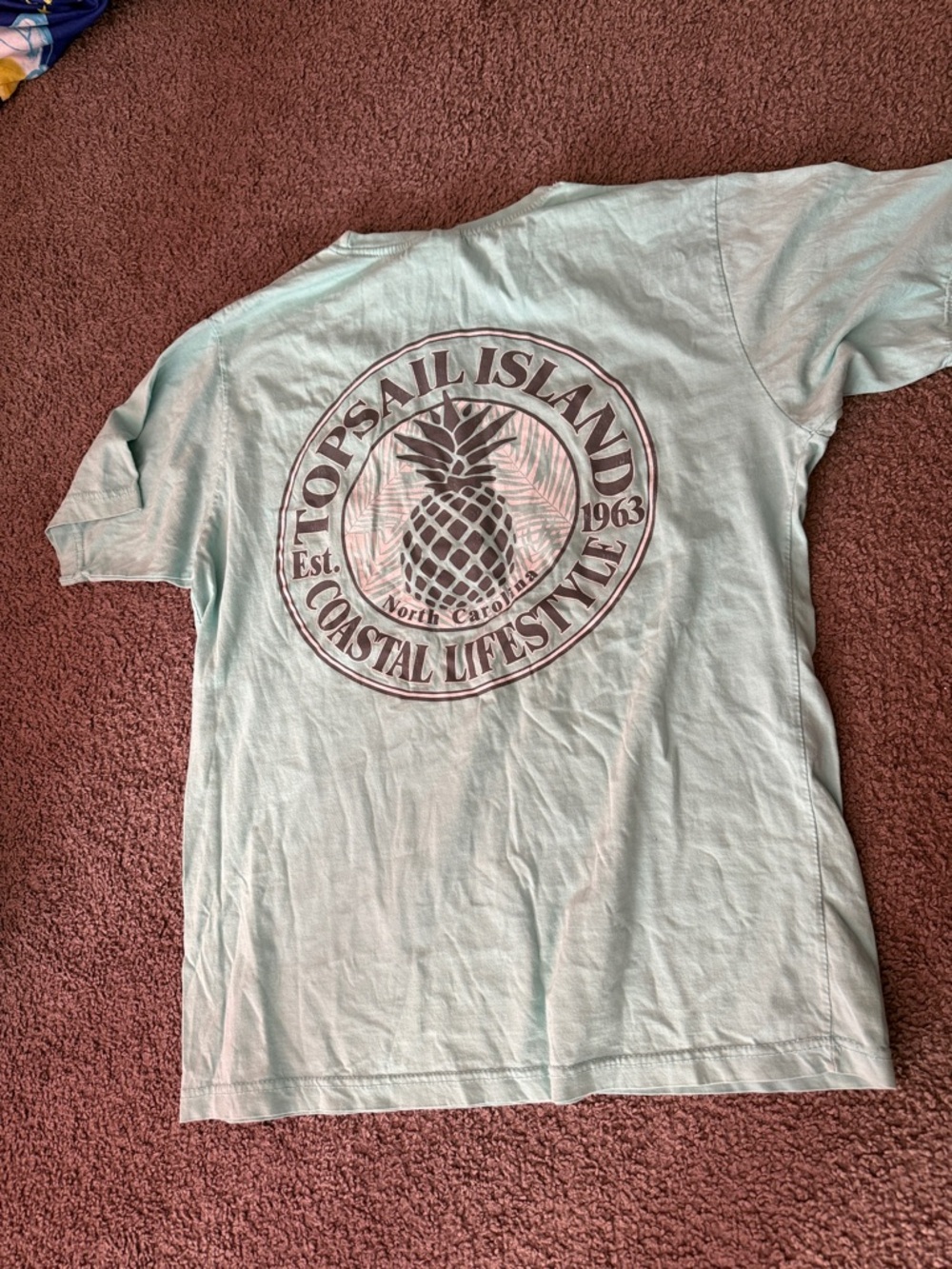 Topsail Island Coastal Lifestyle Pineapple Graphic Tee - Mint